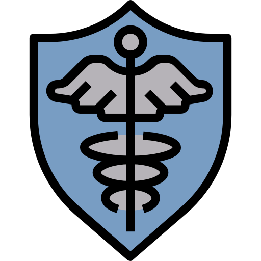 Shield icon