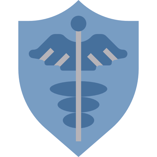 Shield icon