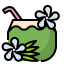 Coconuts biểu tượng 64x64