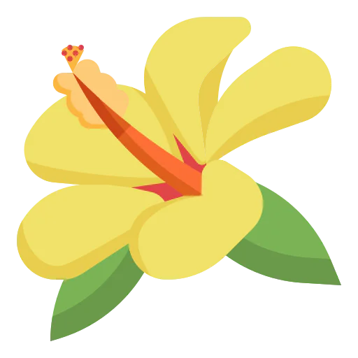 Hibicus icon