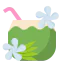 Coconuts biểu tượng 64x64