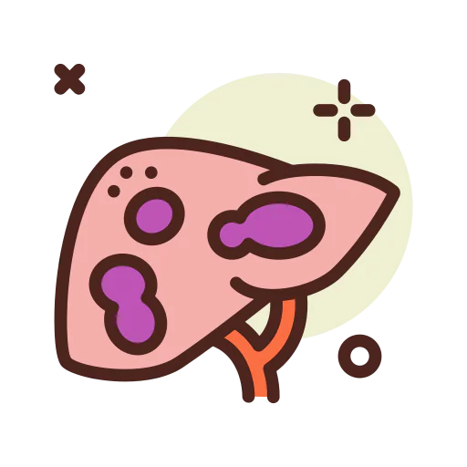 Liver icon