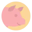 Pig icon 64x64