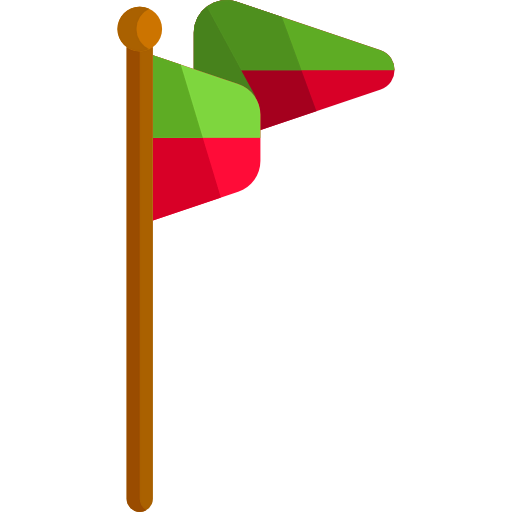 Flag icon
