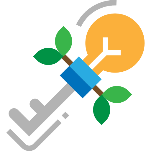 Key icon