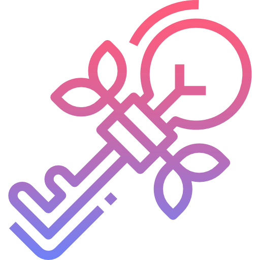 Key icon