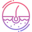 Skin Symbol 64x64