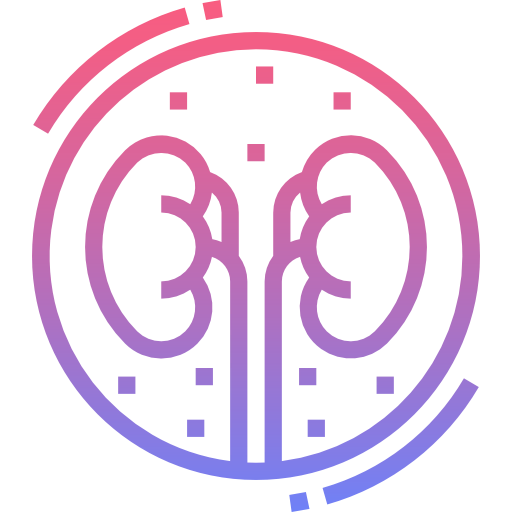 Kidney icon