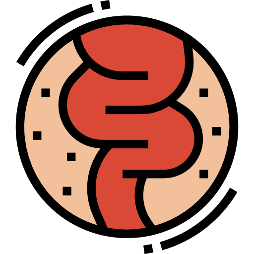 Intestine icon