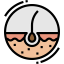 Skin Symbol 64x64