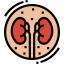 Kidney Symbol 64x64