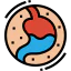Stomach icon 64x64