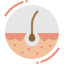 Skin icon 64x64