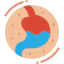 Stomach icon 64x64