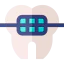 Braces biểu tượng 64x64