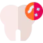 Bacteria icon 64x64