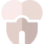 Tooth icon 64x64