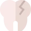 Dental icon 64x64