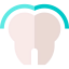 Enamel icon 64x64