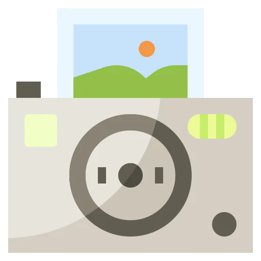 Snapshot icon