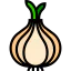 Onion icon 64x64