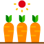 Carrots icon 64x64