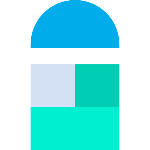 Window icon
