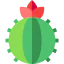 Cactus icon 64x64