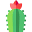 Cactus icon 64x64