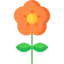 Flower icon 64x64