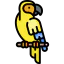 Parrot icon 64x64