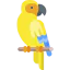 Parrot icon 64x64