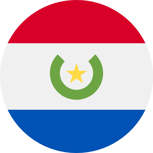 Paraguay icon