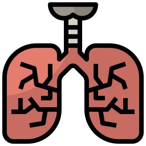 Lungs icon