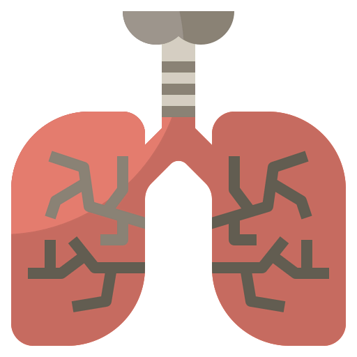 Lungs icon