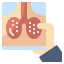 X ray icon 64x64