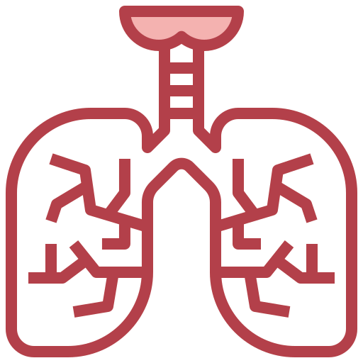 Lungs icon