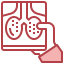 X ray icon 64x64