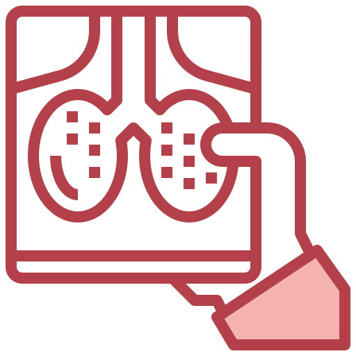 X ray icon
