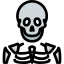Skeleton biểu tượng 64x64