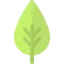 Leaf icon 64x64