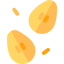 Seeds icon 64x64