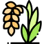 Rice icon 64x64