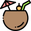 Coconut icon 64x64