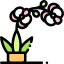Orchid icon 64x64
