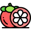 Mangosteen icon 64x64