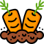 Carrots icon 64x64