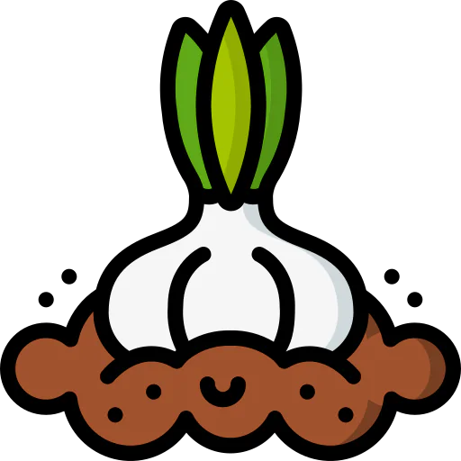 Garlic icon