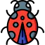 Ladybird icon 64x64
