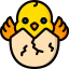 Chick icon 64x64